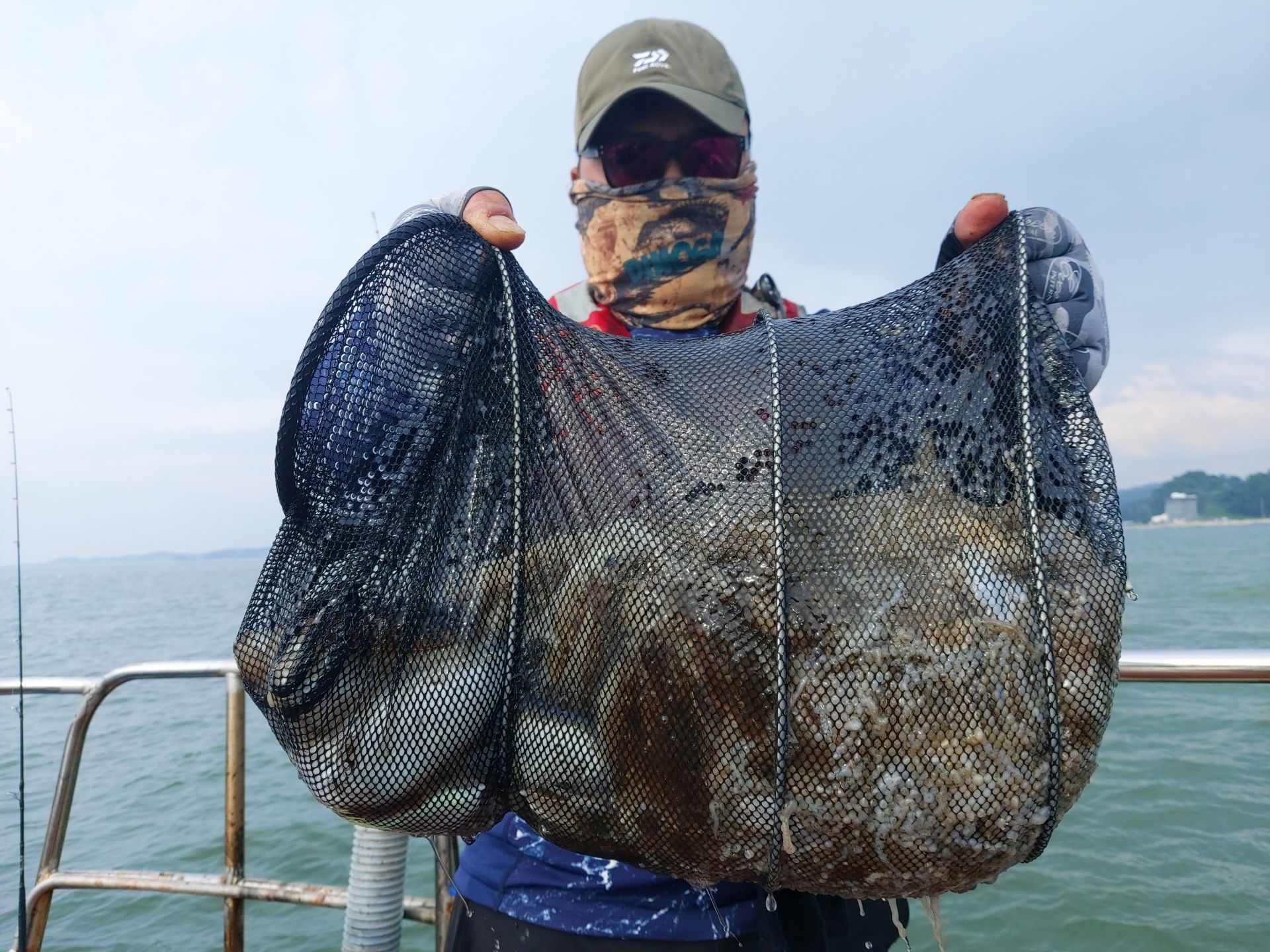 9월12일 화성호 주꾸미 조황~