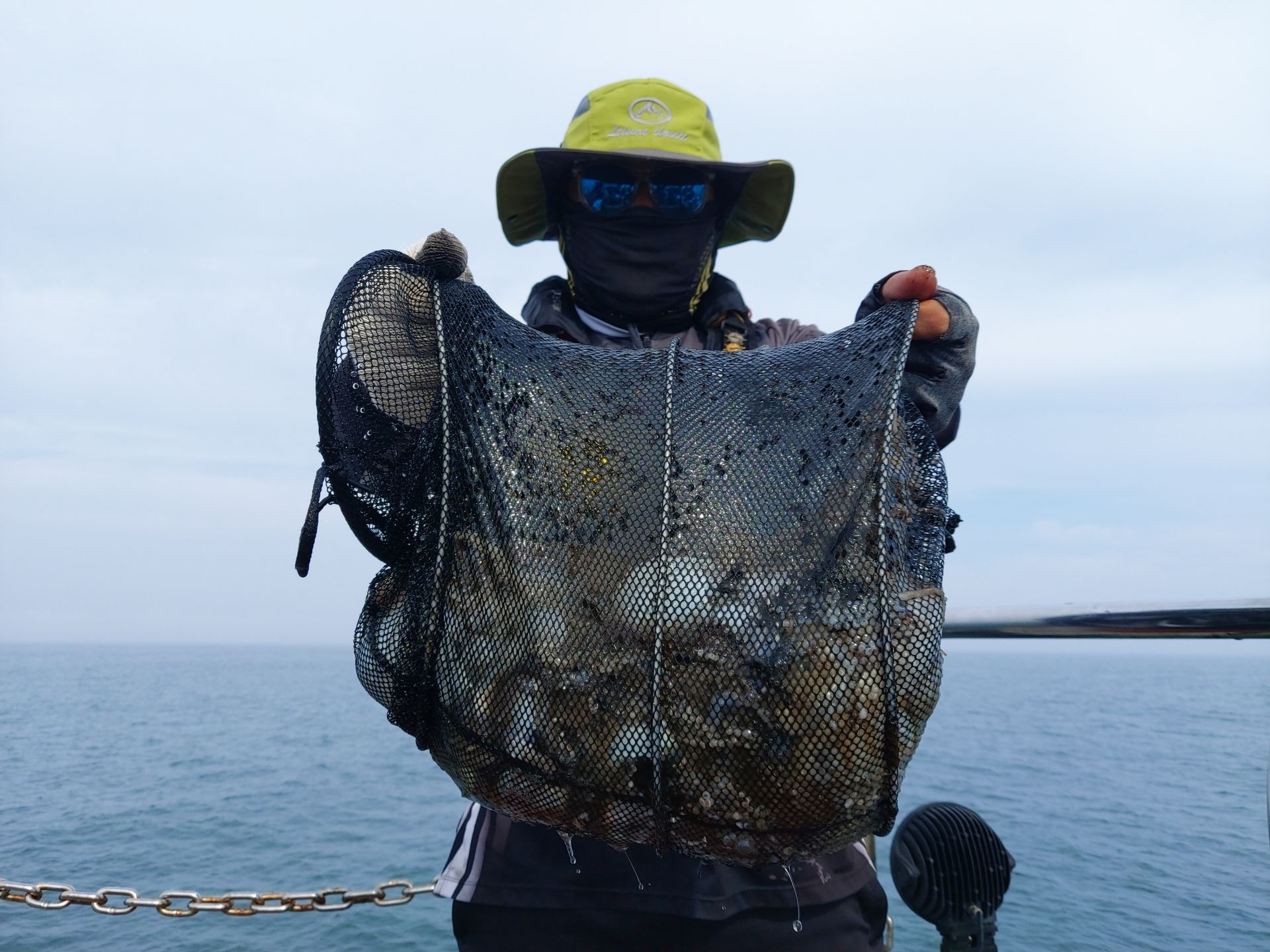 10월 1일 화성호 주꾸미 조황~