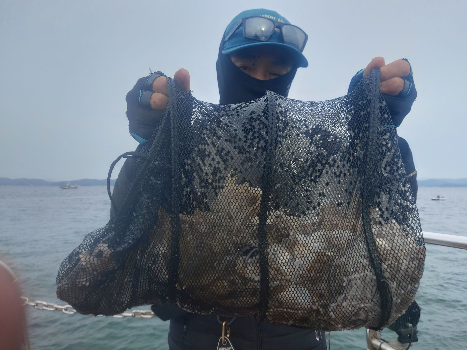 10월 7일 화성호 주꾸미 조황~