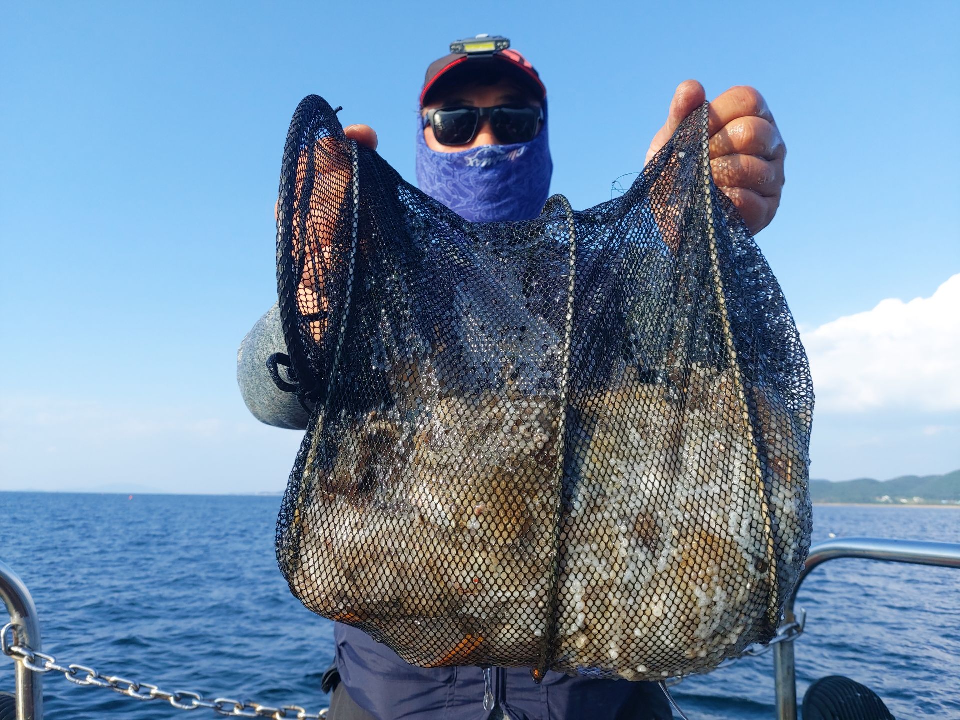 10월 11일 화성호 주꾸미 조황~